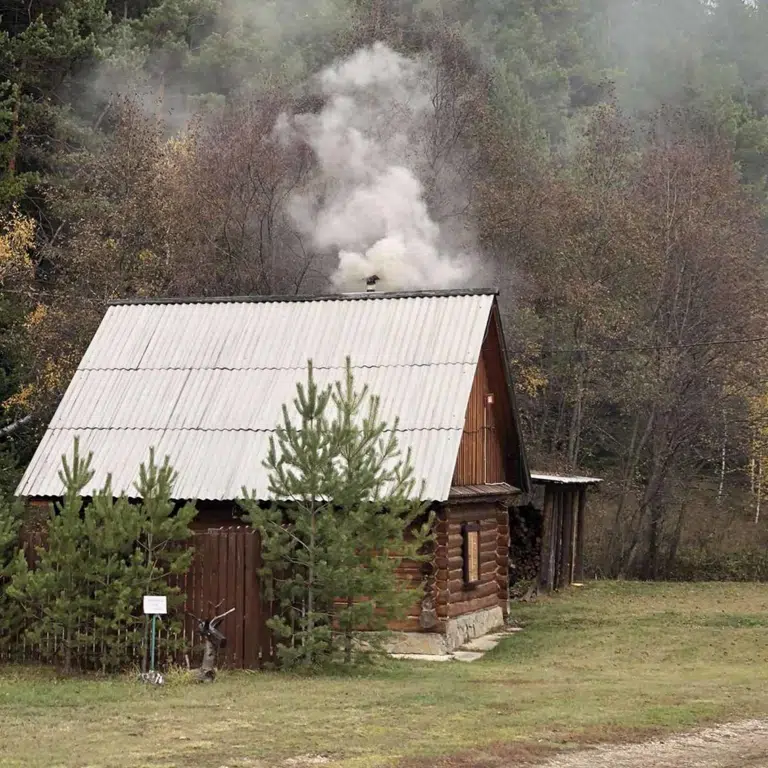 services image